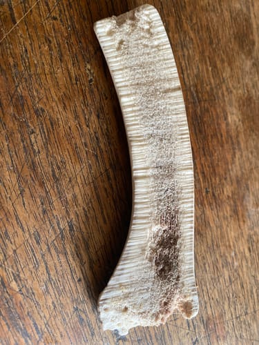 Customer photo review of Bois de cerf tranché - Mastication Douce pour Chiens