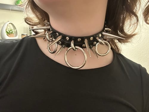 Customer photo review of Spawn Collar