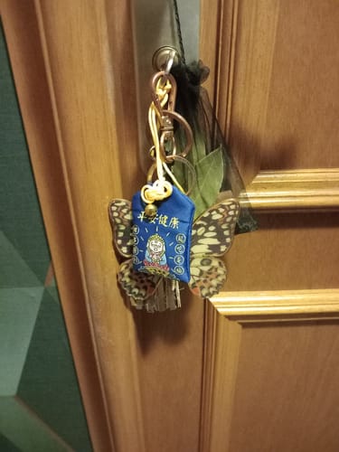 Customer photo review of Omamori Paix et Santé