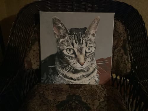 Customer photo review of Halloween Painting Starter Bundle