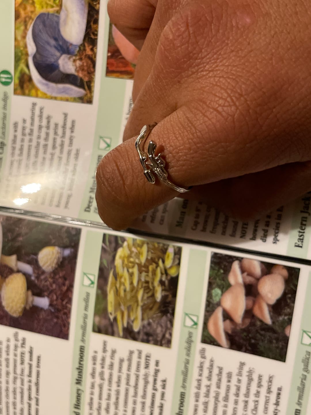 Customer photo review of SHOOTING IRON RING