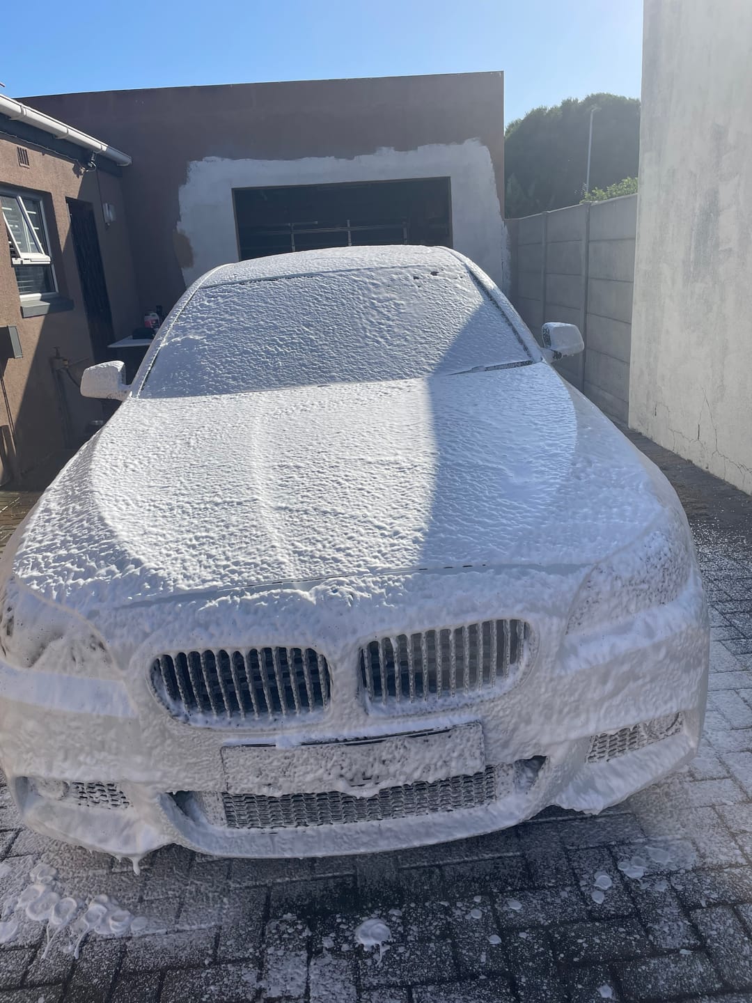 Customer photo review of Mega PHoam - High Concentrate Foam Cannon Shampoo