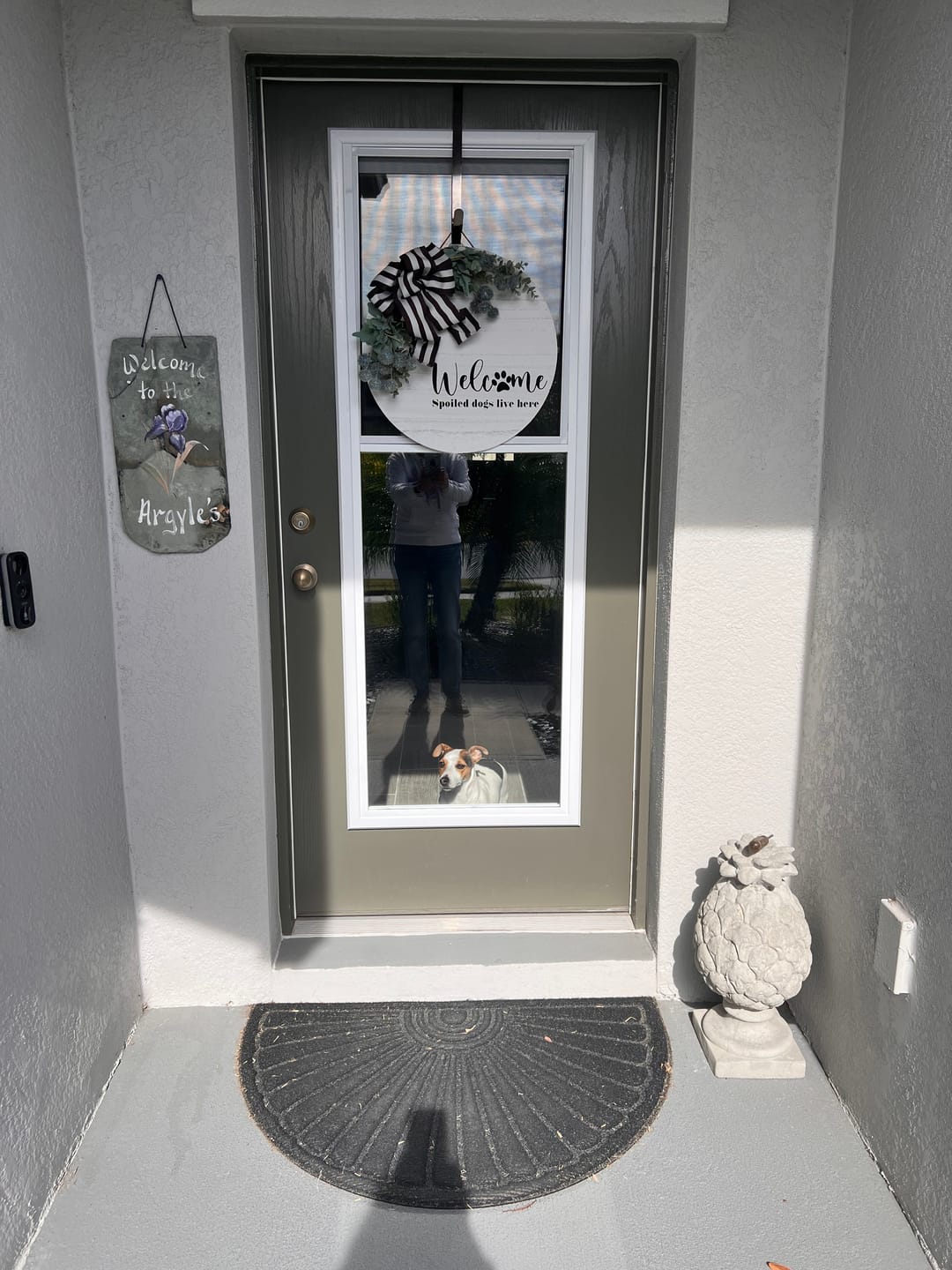 Customer photo review of Venting 1 Lite Glass and Frame Kit (Full Lite 24" x 66" Frame Size)