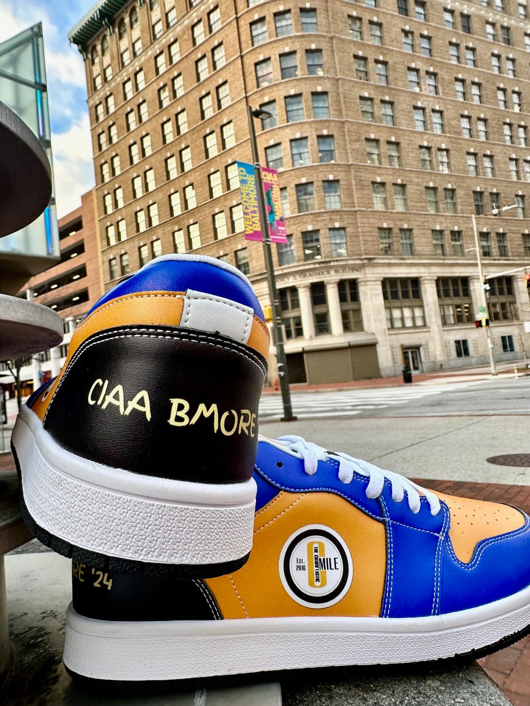 Customer photo review of Personalized Sneakers, Custom Sneakers, Put name or business name on it, AJ1-C03200