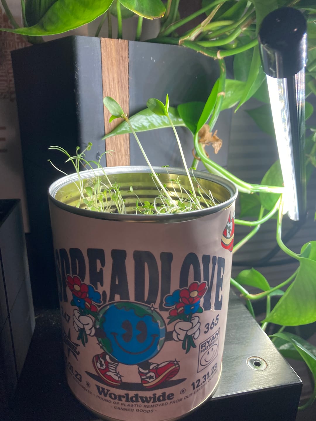 Customer photo review of Carbon Neutral Order