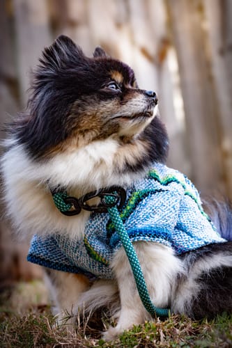 Customer photo review of Playa Poncho - Surprise Color