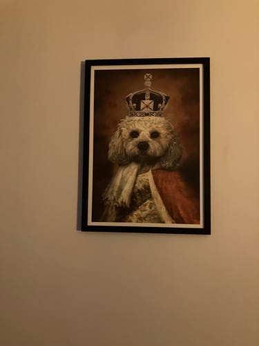 Customer photo review of The King - Custom Vintage Pet Portrait