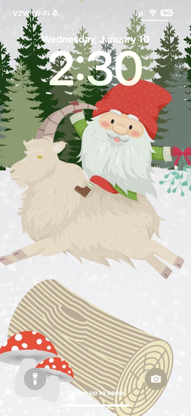 Customer photo review of [FREE DOWNLOAD] Winter Gnome Digital Phone Wallpaper