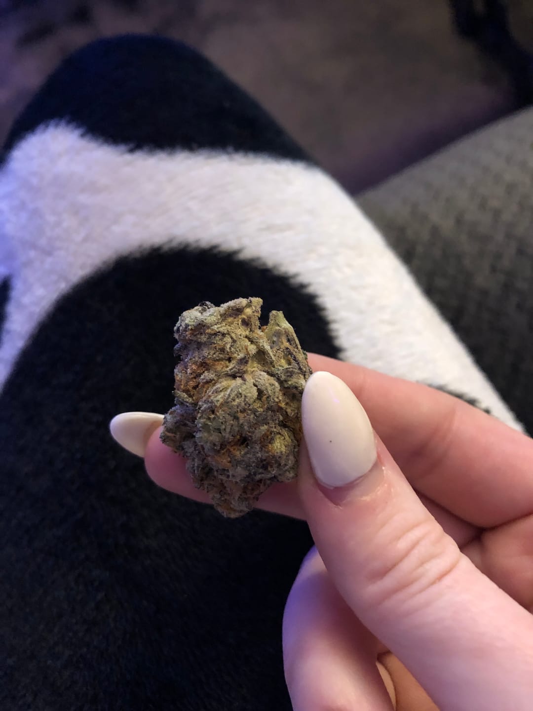 Customer photo review of Jealousy - THCa Flower