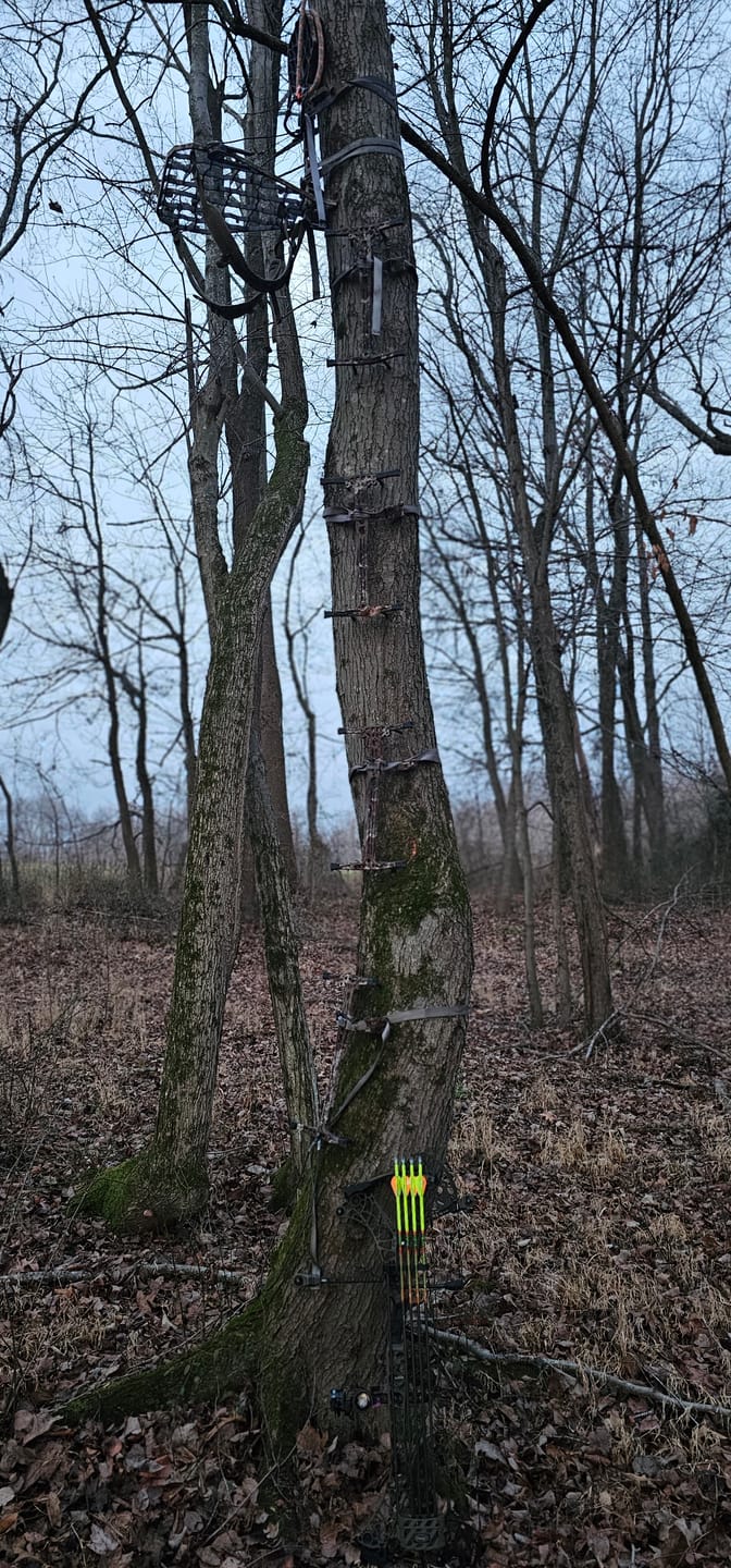 Customer photo review of D'Acquisto Series Hang-On .5 / Public Land Stand ™