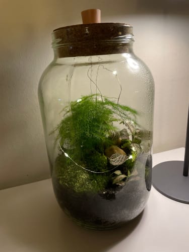 Customer photo review of Karline und der Flaschengarten - Kinderbuch und Flaschengarten