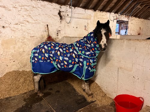 Customer photo review of NEW! Space Adventurer Turnout Rug
