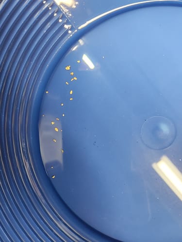 Customer photo review of Nugget Reserve 'MUSEUM SPECIMEN CHASE' - Gold Panning Paydirt Concentrate
