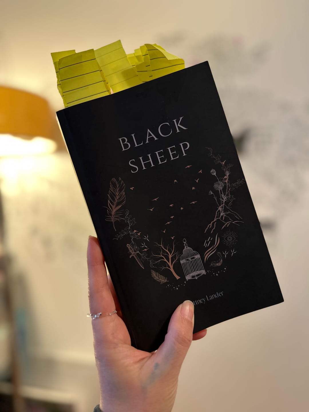 Customer photo review of Black Sheep