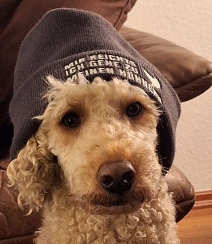 Customer photo review of Mir reichts ich gehe zu meinen Hühnern  - Beanie Mütze mit Stick