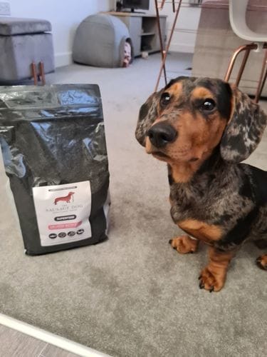 Customer photo review of Superfood Angus Beef with Carrot, Green Beans, Cauliflower, Tomato & Courgette (Small Kibble)