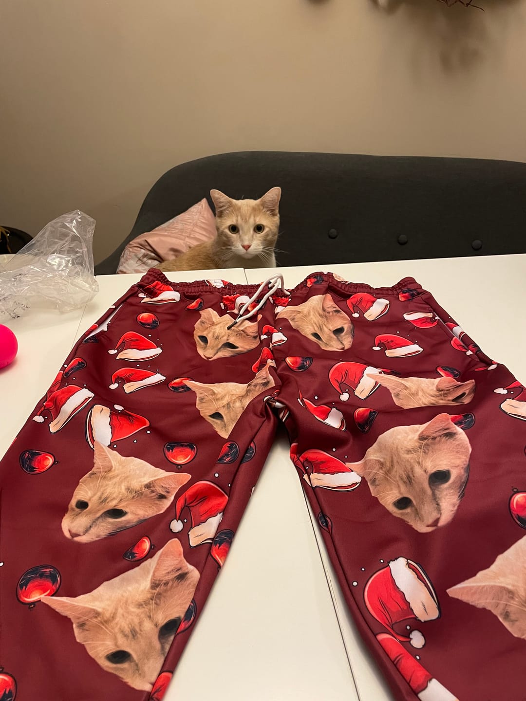Customer photo review of Custom Your Own Sweatpants With Your Pet Face