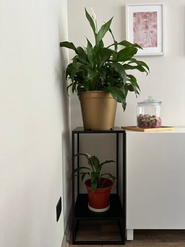 Customer photo review of Mesa altar doble METAL Black