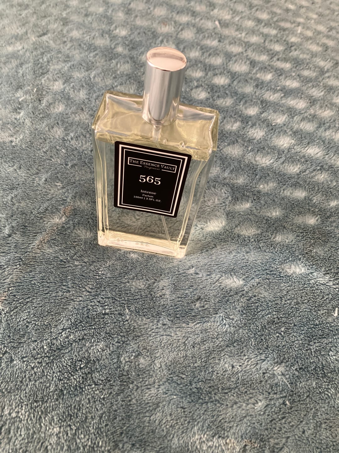 Customer photo review of Inspired by Portrait of a Lady - 565