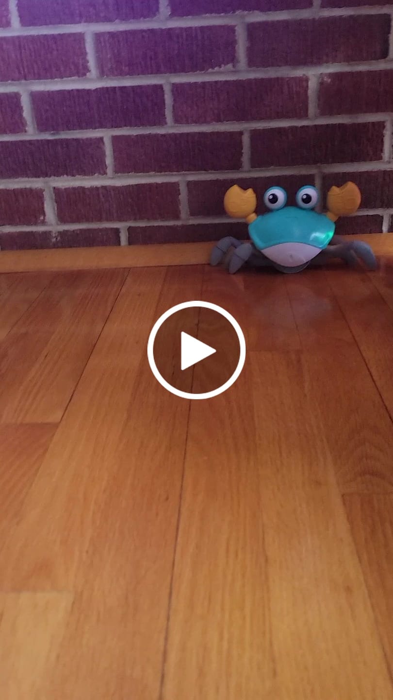 Customer video review of The Crawly Crab™