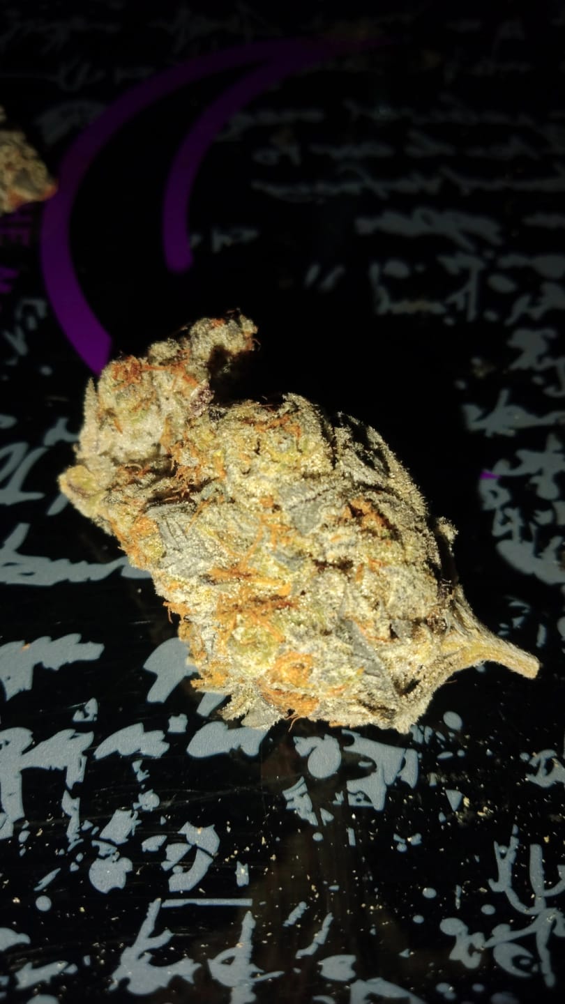 Customer photo review of Jealousy - THCa Flower