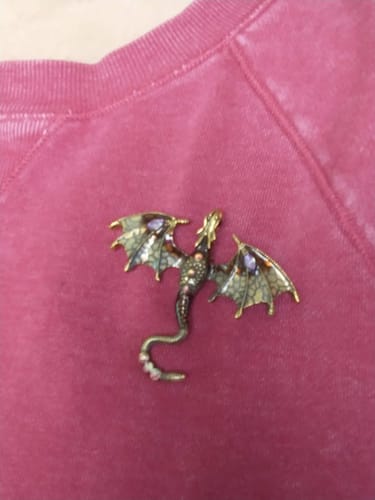 Customer photo review of Flying Dragon Brooch