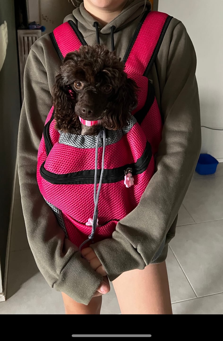 Customer photo review of Dog Backpack