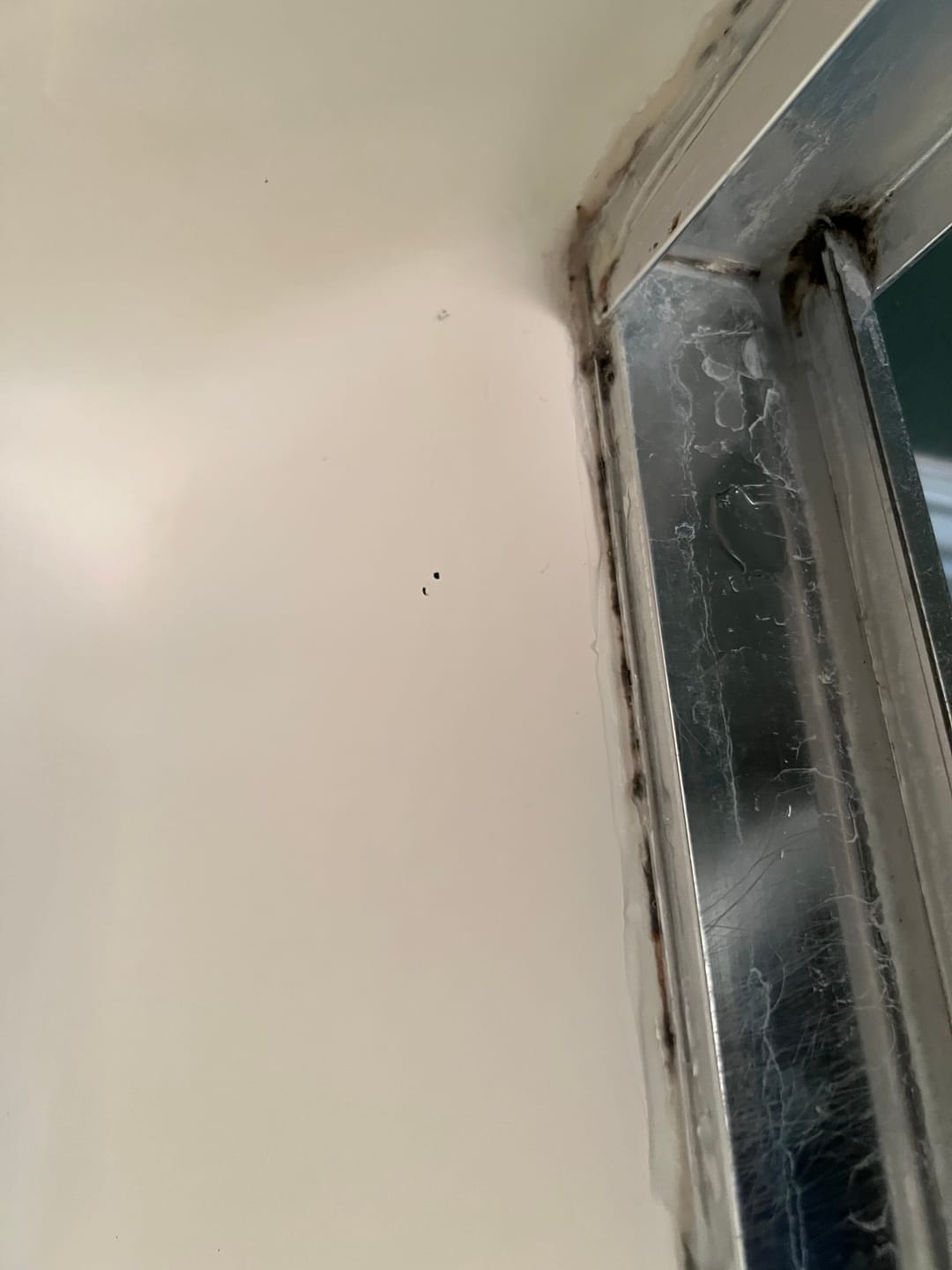 Customer photo review of GLASSGUARD™ Miracle Mold Removal Gel