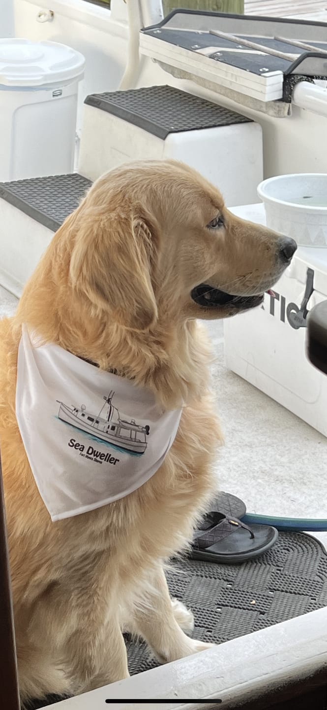 Customer photo review of Custom Pet Bandana