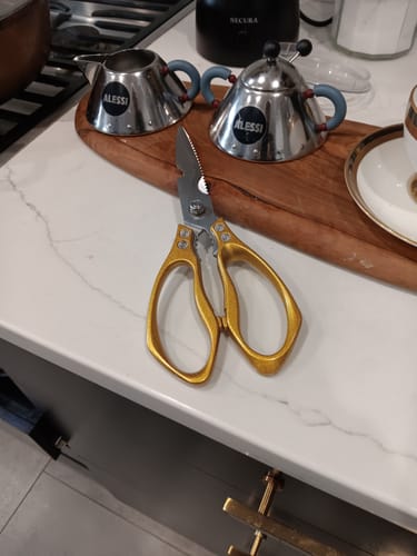 Customer photo review of Hachidori - SK5 Grade Multipurpose Scissors