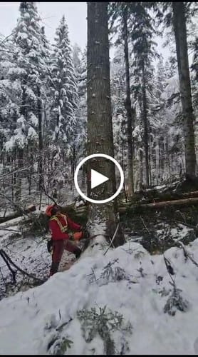 Customer video review of WCB Approved Unlined "Hurricane" Rain Jacket