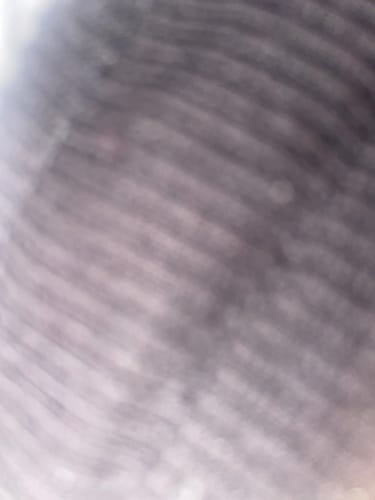 Customer photo review of KETARI WEAR LOGO TRACKSUIT