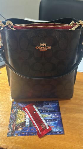 Customer photo review of Mollie Bucket Bag 22 In Signature Canvas (Gold/Brown Black)