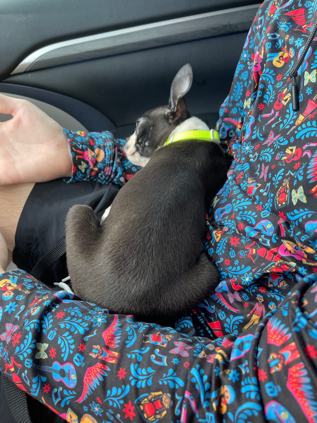 Customer photo review of Disney and Pixar Coco "Music In Me" – Performance Hoodie