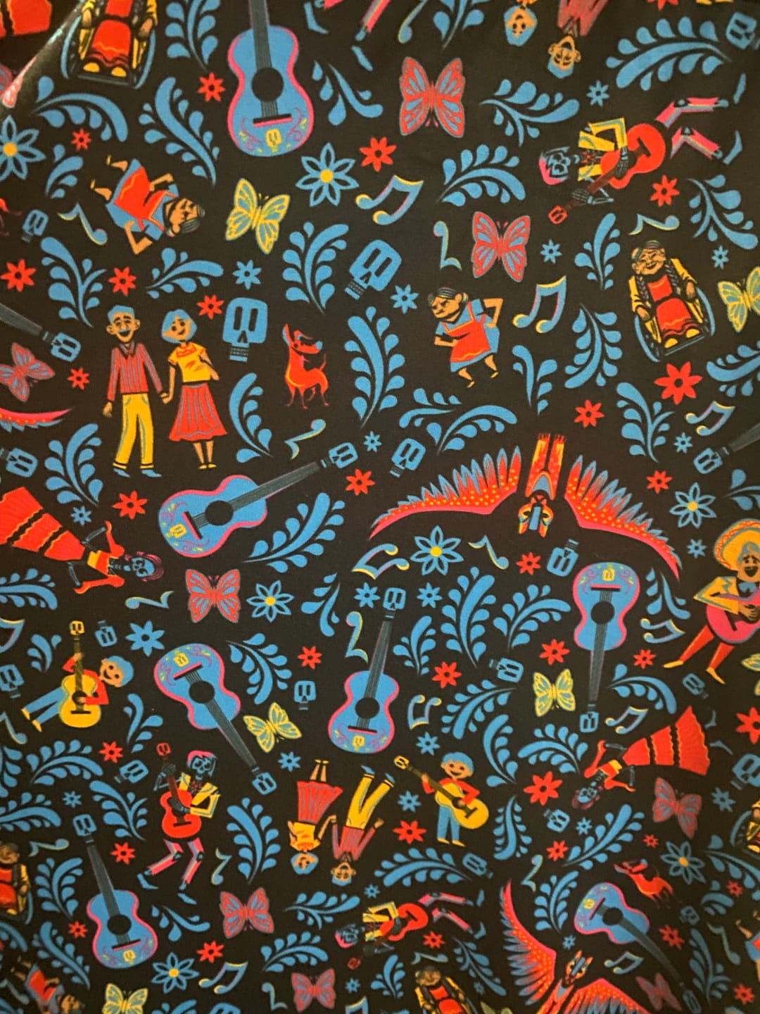Customer photo review of Disney and Pixar Coco "Music In Me" – Performance Hoodie