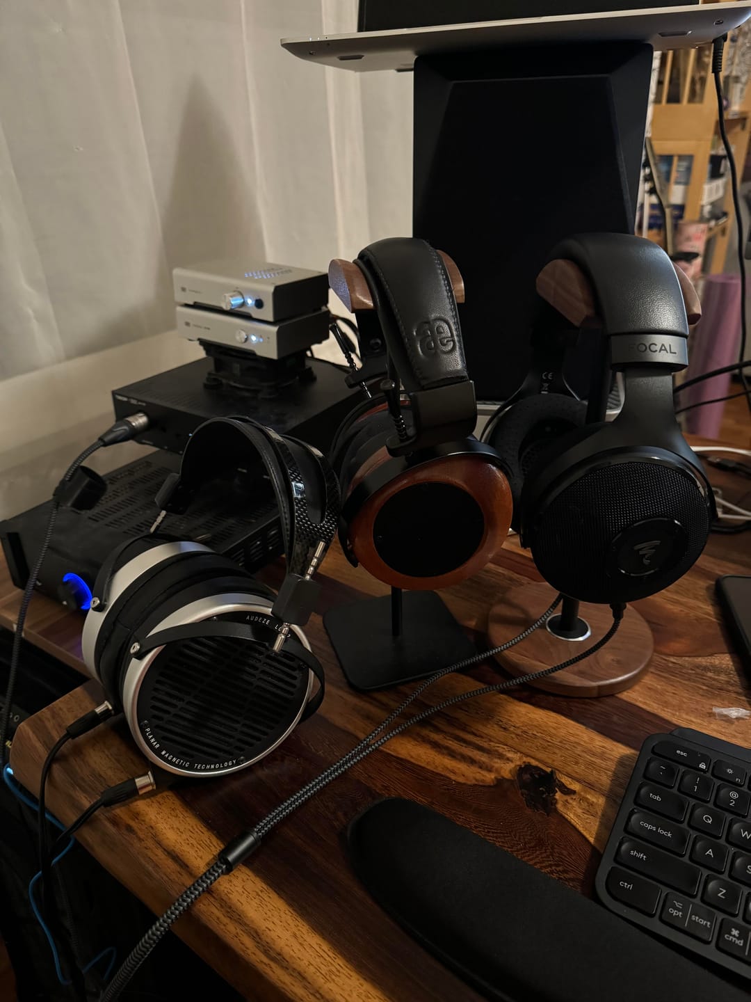 Customer photo review of Focal Elex Headphones