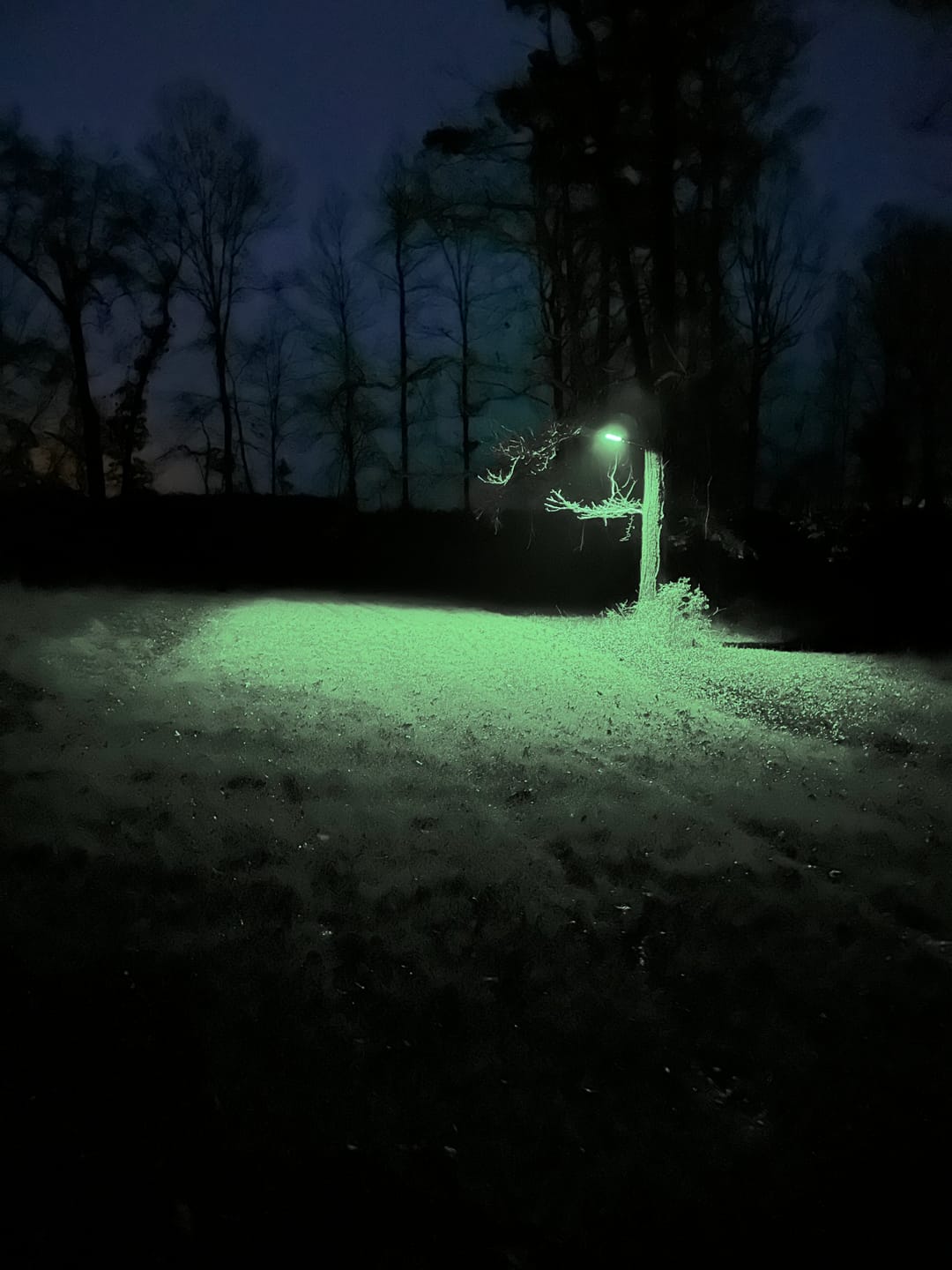 Customer photo review of Solar Green Light for Hunting Hogs Deer,Fish light -15,000lumens