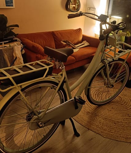 Customer photo review of E-Cargo N3