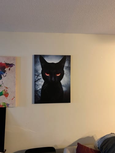 Customer photo review of Mystical Black Cat