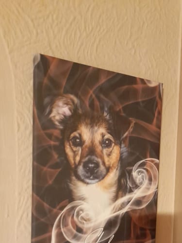 Customer photo review of Rauch Pawtrait
