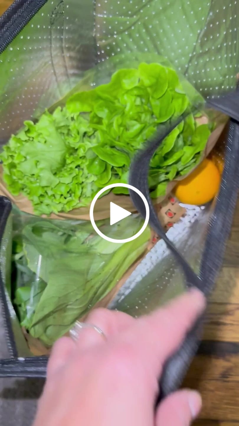 Customer video review of "Cherry" (Small), Fruit & Veggie Mix