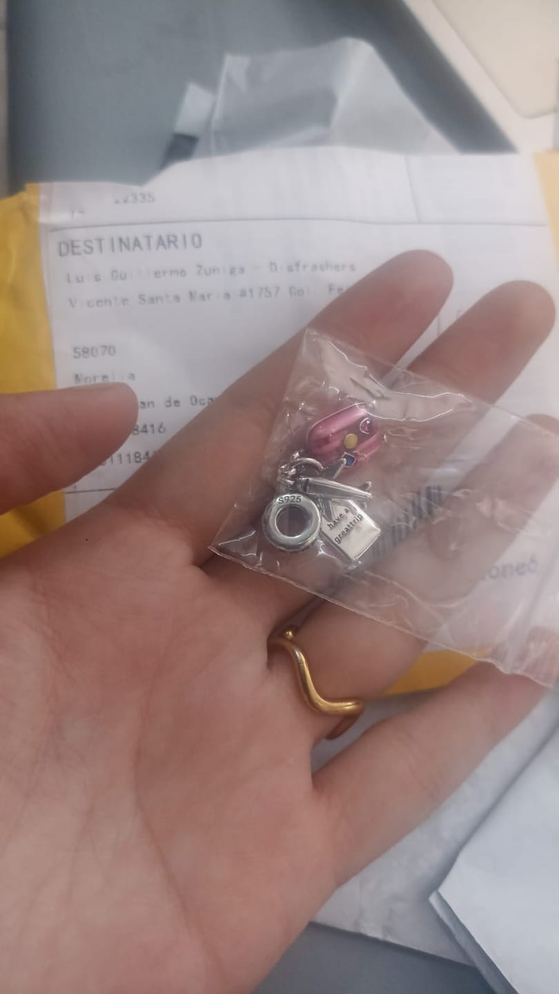Customer photo review of Charm Viaje al Mundo