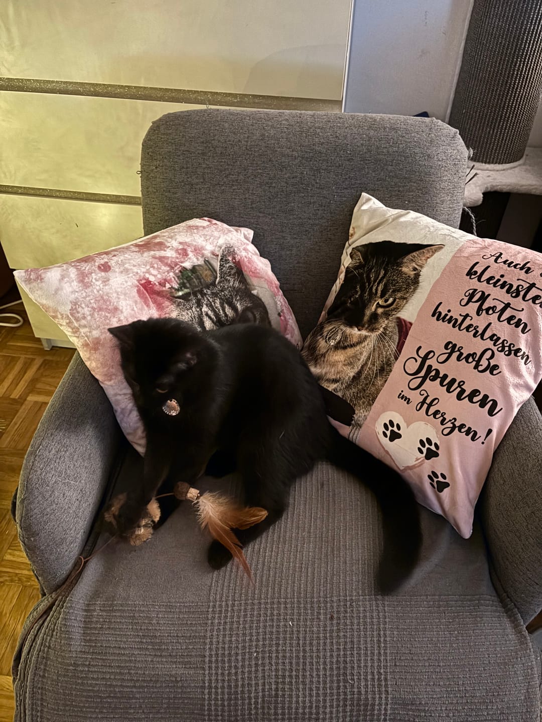 Customer photo review of Die kleinsten Pfoten - Individuelles Kissen