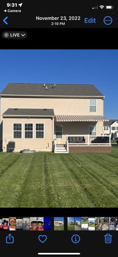 Customer photo review of GCI Turf Cool Blue Grass Seed