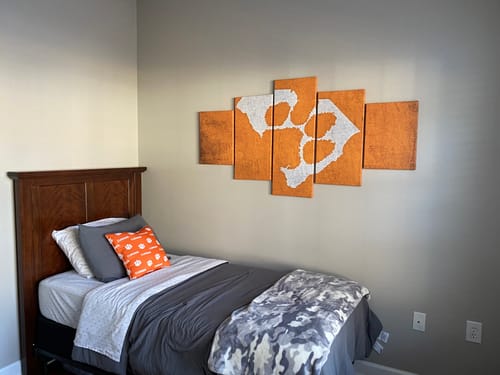 Customer photo review of Clemson Tigers Wall Art Painting Canvas Poster 5 Framed