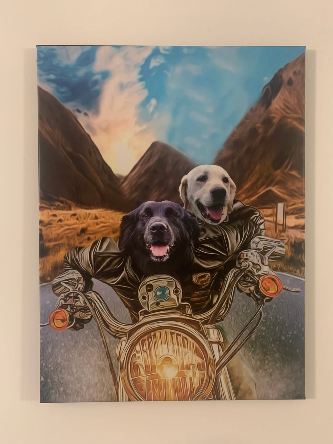 Customer photo review of Les Motards ( Duo )