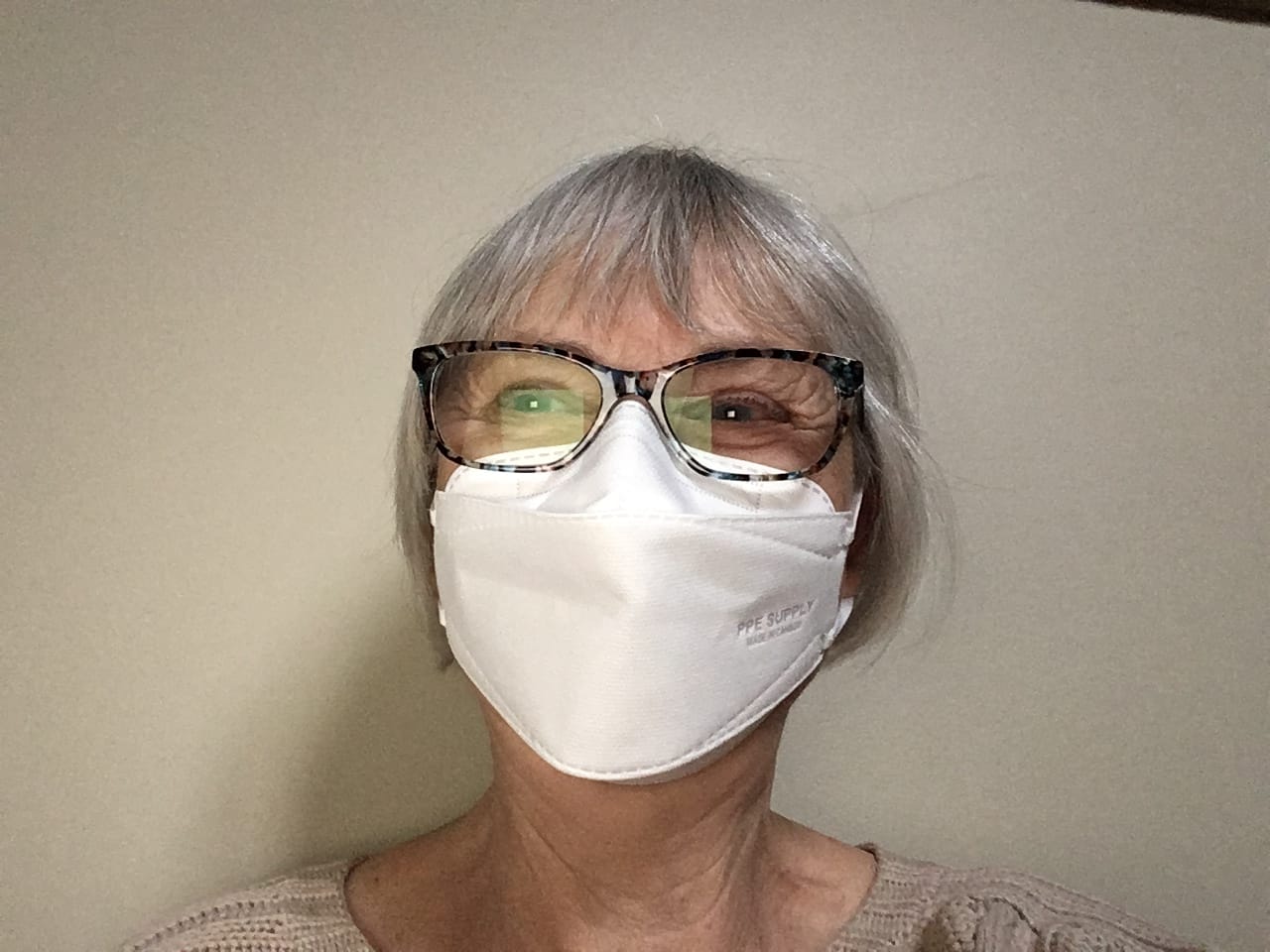 Customer photo review of N95 Respirator Face Mask Made in Canada (Regular)
