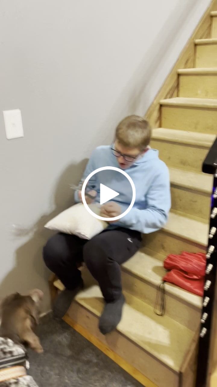 Customer video review of Customized Pet Multi-Head Blanket with Bones