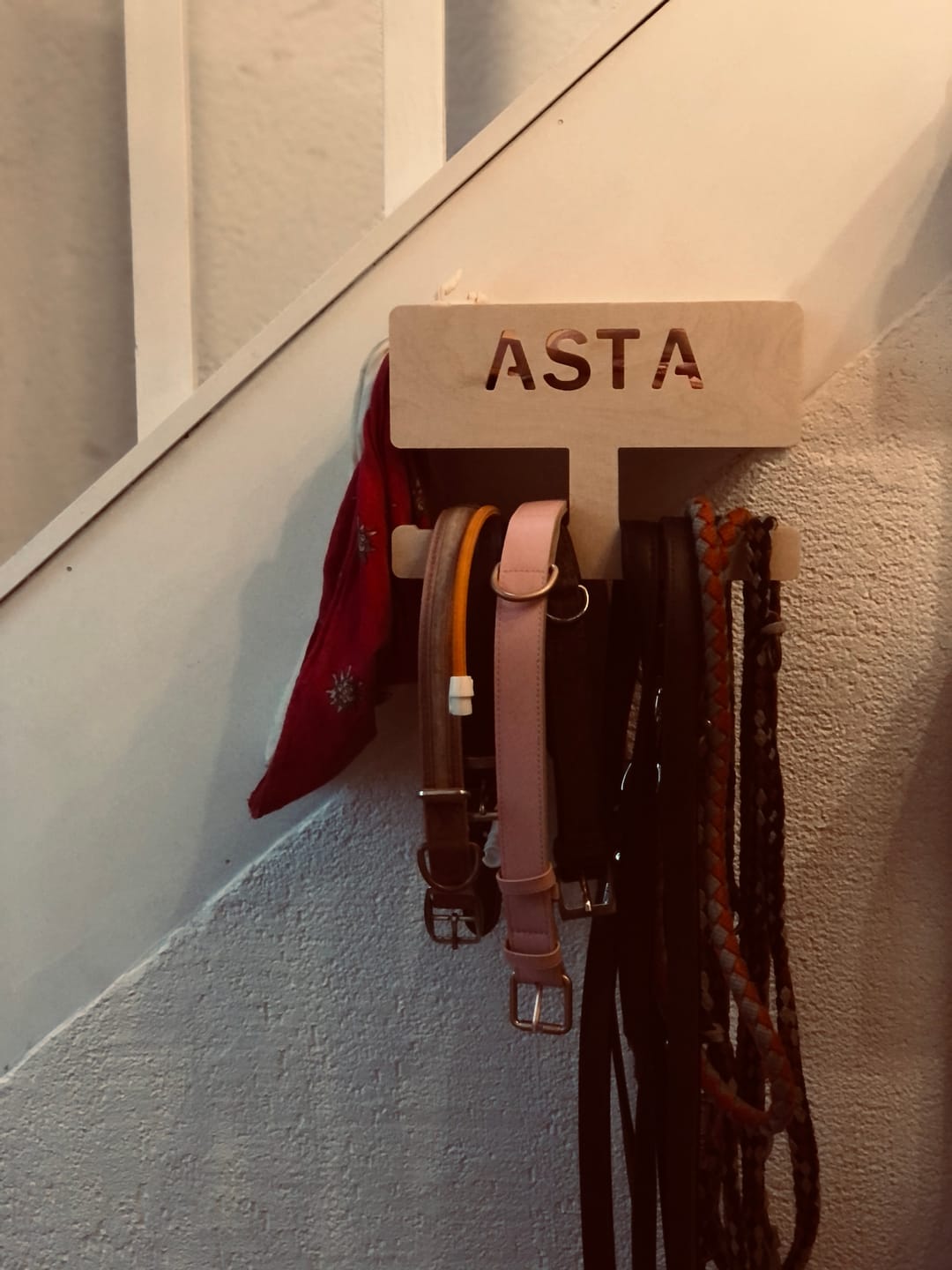 Customer photo review of PERSONALISIERUNG: Hundegarderobe L