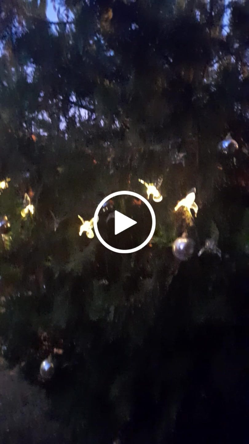 Customer video review of Colibrís Solares - IP65 Luz Cálida/Colores Largo 5 m